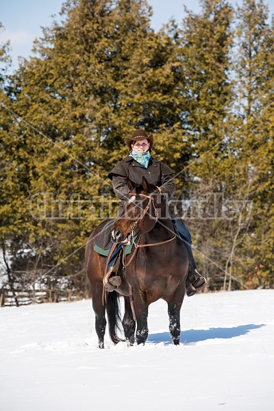 Woman riding quater horse stallion in deep snow