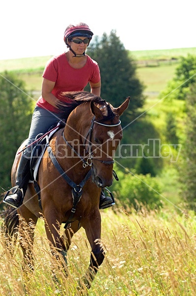 Woman horseback riding in field