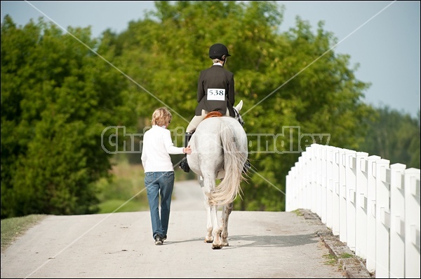 Hunter Jumper Show at Blue Star Farm