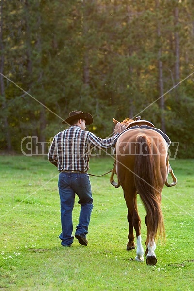 Cowboy and Horse