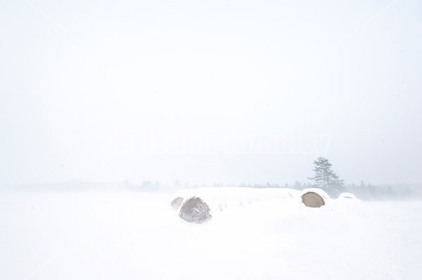 Round bales of hay covered in snow