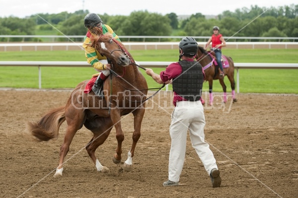 Quarter Horse Racing at Ajax Downs