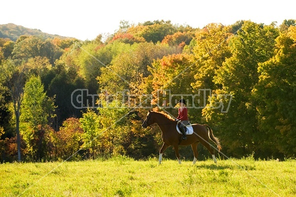 Young woman horseback riding in the fall of the year.