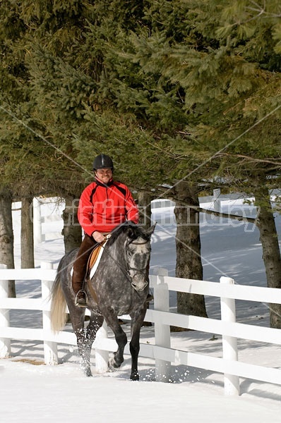 Horseback Riding in the Winter in Ontario Canada