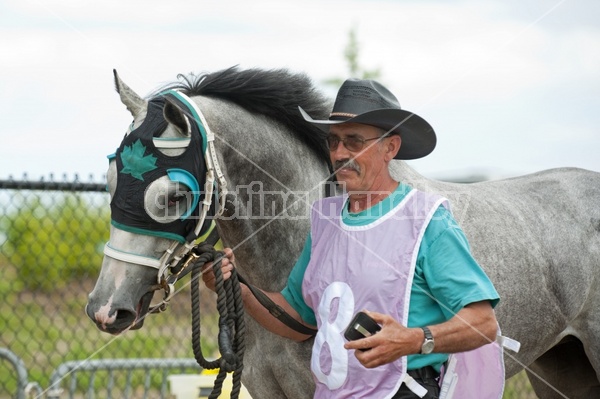 Quarter Horse Racing at Ajax Downs