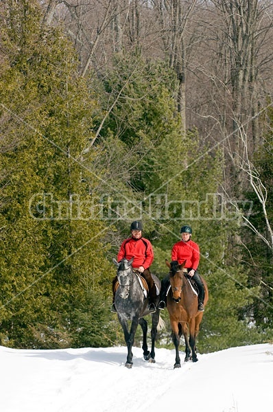 Horseback Riding in the Winter in Ontario Canada