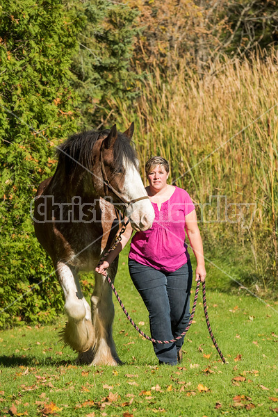 Portrait of a woman with her Clydesdale draft horse