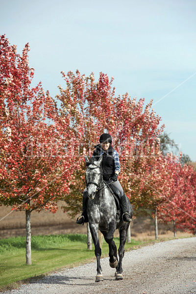 Young woman riding gray horse in the autumn colors