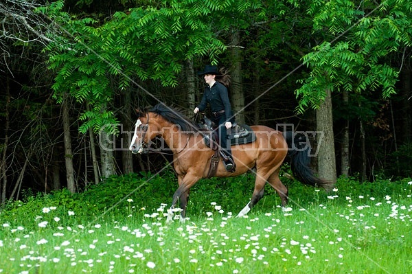 Young woman riding her American Paint horse mare