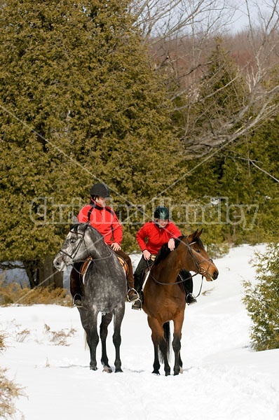 Horseback Riding in the Winter in Ontario Canada