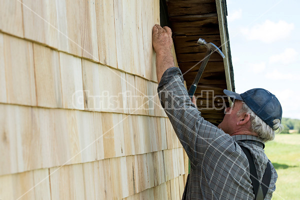 Man putting cedar shingles on the wall of a barn