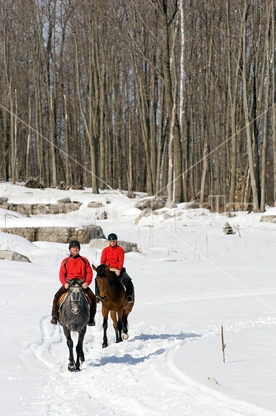 Horseback Riding in the Winter in Ontario Canada