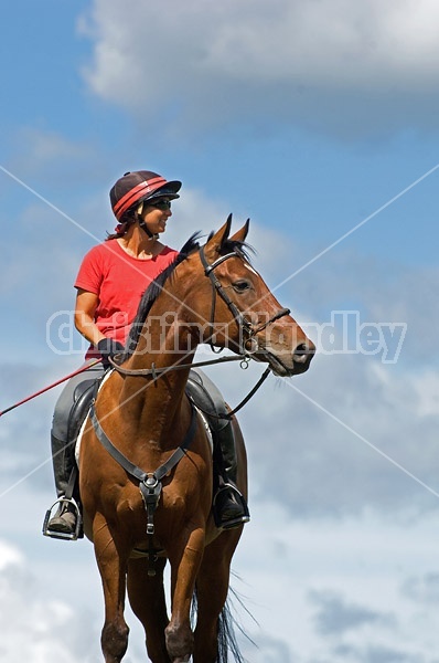 Woman riding bay horse