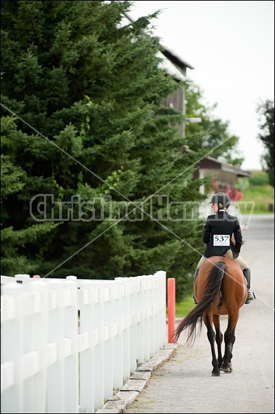 Hunter Jumper Show at Blue Star Farm