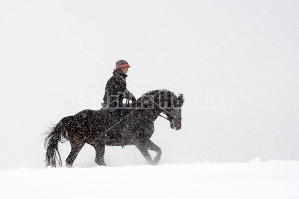 Woman horseback riding in the winter