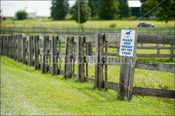 Hunter Jumper Show at Blue Star Farm