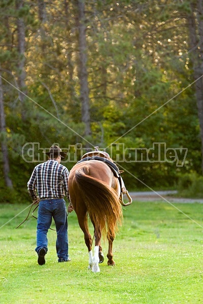 Cowboy and Horse