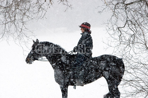 Woman horseback riding in the winter