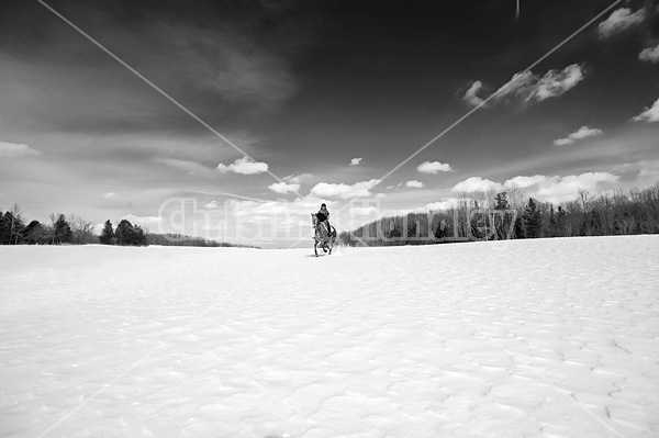 Woman riding Hanoverian mare in deep snow