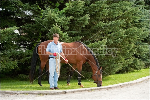 Hunter Jumper Show at Blue Star Farm