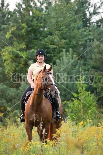 Young woman riding chestnut Thoroughbred horse.