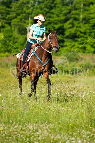 Woman trail riding on Standardbred mare