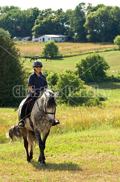 Woman riding gray horse in field