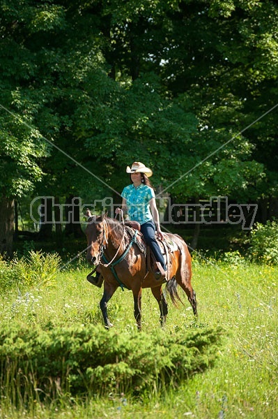 Woman trail riding on Standardbred mare