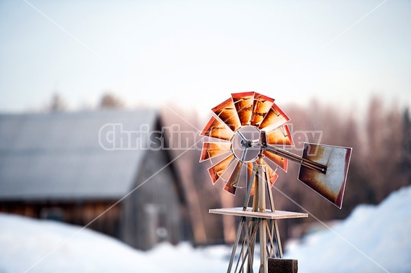 Windmill in farm yard