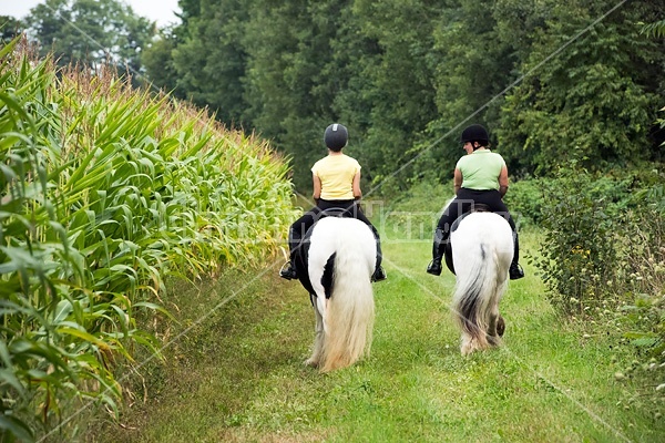 Two women riding Gypsy Vanner horses