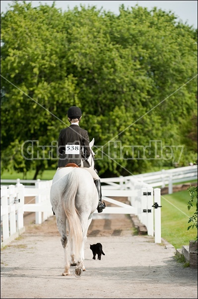 Hunter Jumper Show at Blue Star Farm