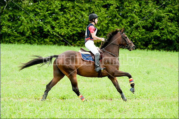 Lanes End Horse Trials