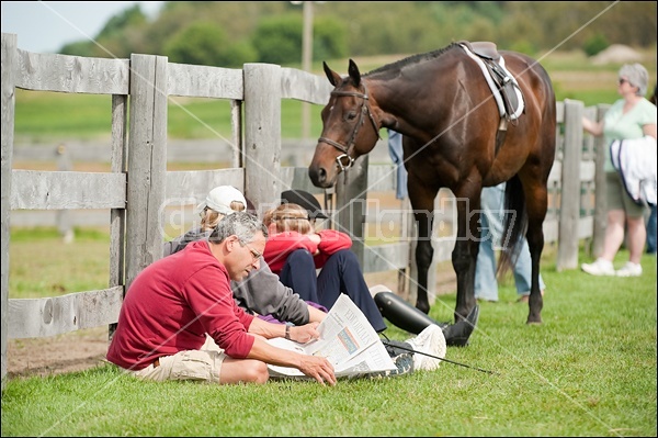 Hunter Jumper Show at Blue Star Farm