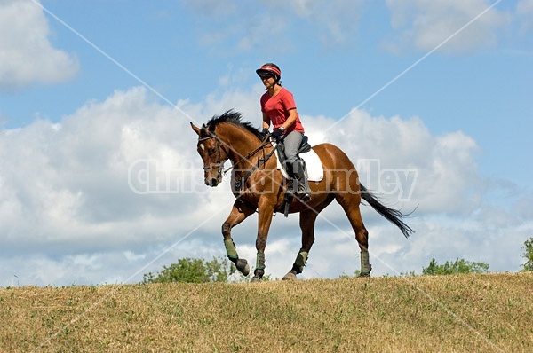 Woman horseback riding in field