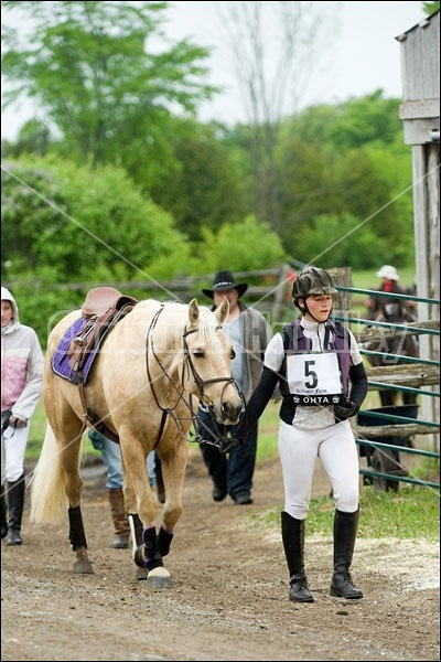 Horse Trials