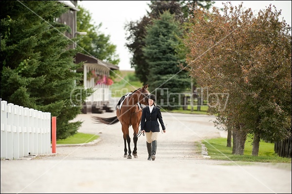 Hunter Jumper Show at Blue Star Farm