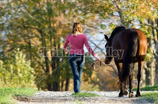 Young woman and her horse