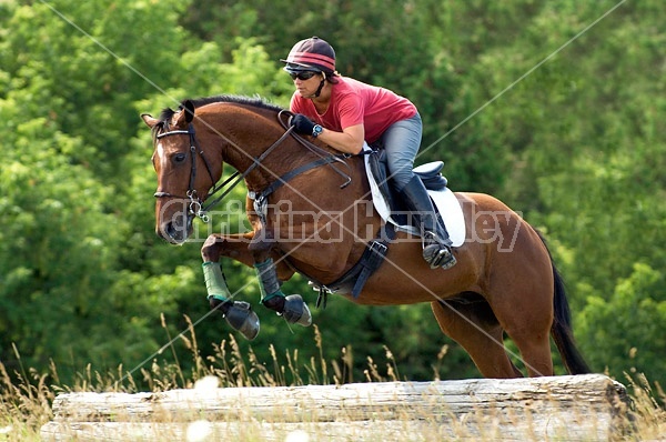 Woman riding horse jumping a log jump