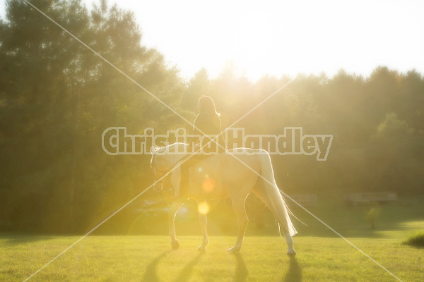 Woman riding a palomino horse