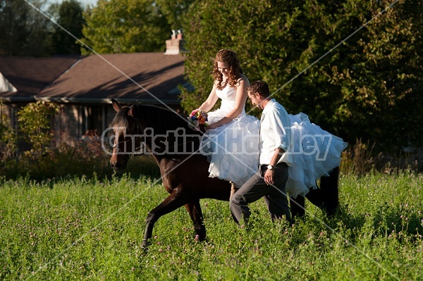 Bride and groom with horse