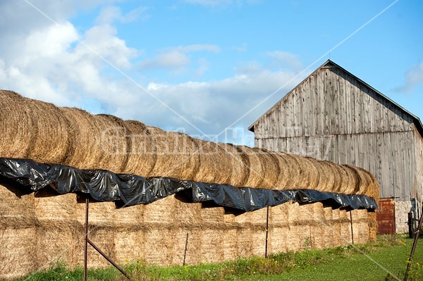 Round bales of hay and barn