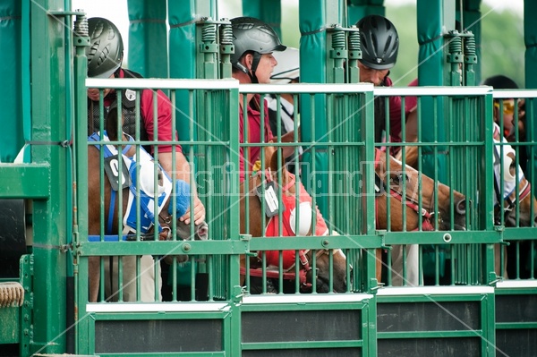 Quarter Horse Racing at Ajax Downs