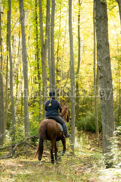 Woman riding a Chestnut Thoroughbred horse