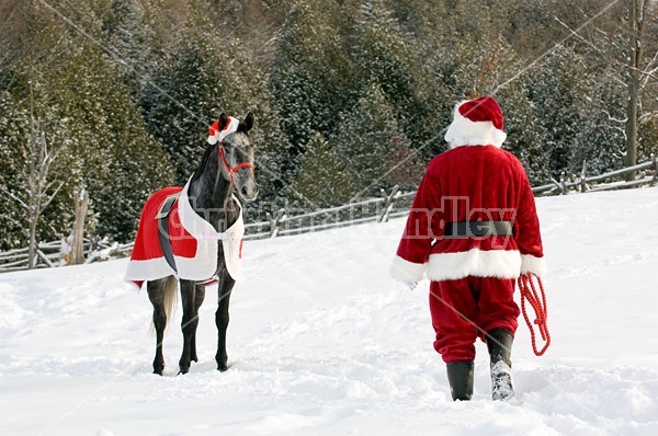 Santa Claus and his Horse