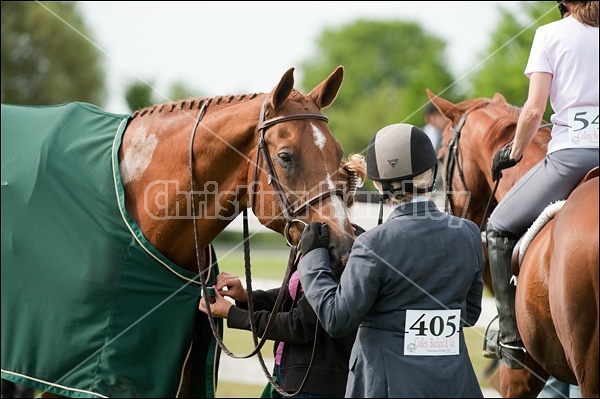 Hunter Jumper Show at Blue Star Farm