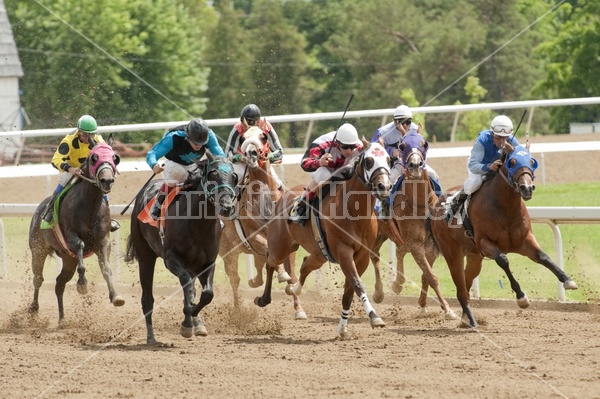 Quarter Horse Racing at Ajax Downs