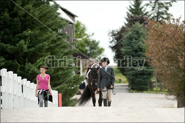 Hunter Jumper Show at Blue Star Farm